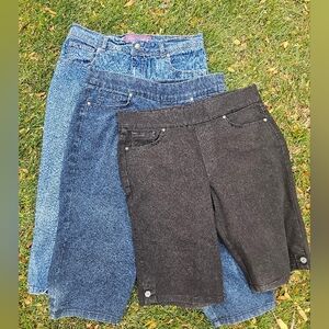 Bundle Gloria Vanderbilt Capri Bermuda Shorts Pants 10
